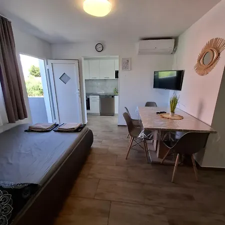 Palm Tree 2 Apartment