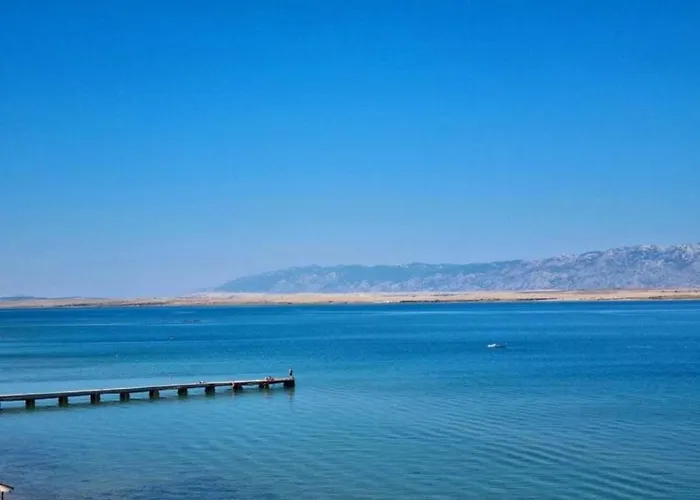 Apartment Palm Tree 2