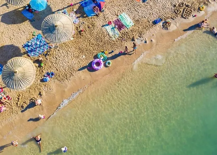 Apartment Palm Tree 2