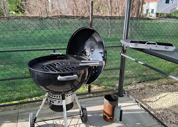 Apartment Palm Tree 2 Nin